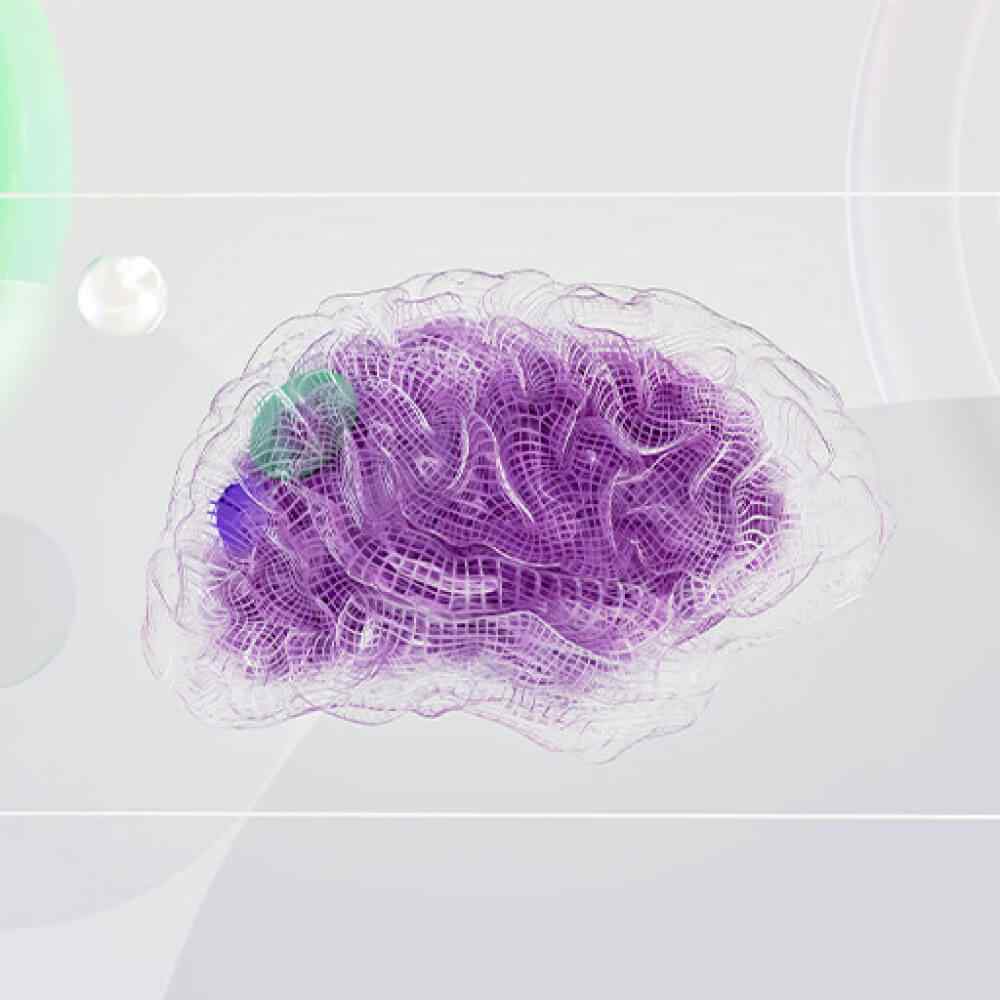 Stylised purple model of a brain